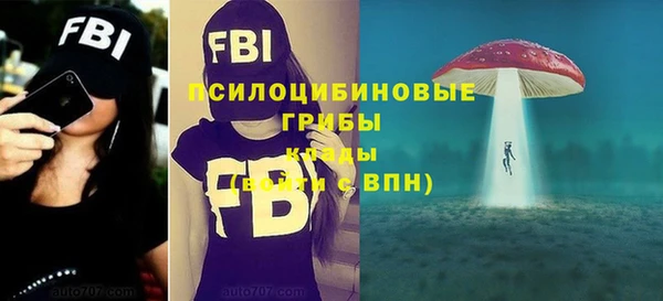 гашик Алзамай