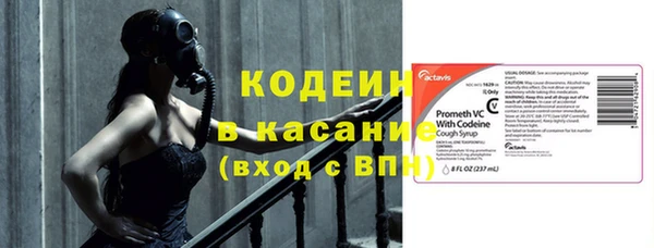 гашик Алзамай